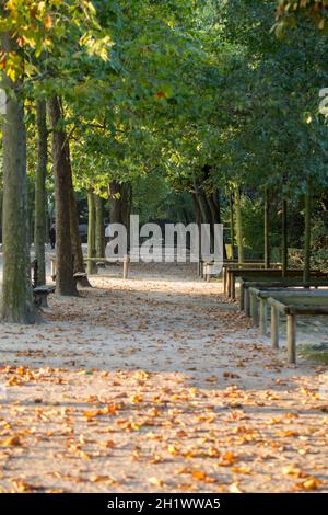 Promenade de la châtaigne dans les jardins du Luxembourg, Paris Banque D'Images