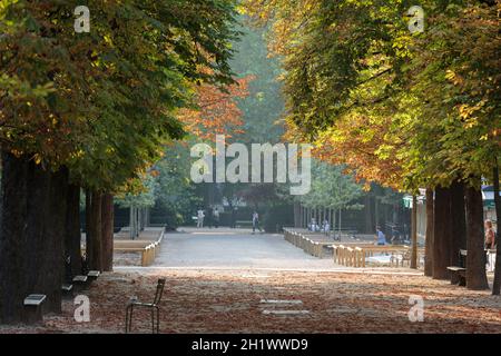 Promenade de la châtaigne dans les jardins du Luxembourg, Paris Banque D'Images