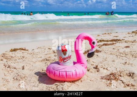 Porte-bière rose flamant avec bière supérieure sur la plage des caraïbes Playa del Carmen Mexique. Banque D'Images