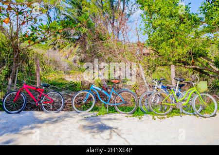 Vélos colorés garés vélos à la plage tropicale mexicaine 88 à Playa del Carmen Mexique. Banque D'Images