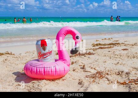 Porte-bière rose flamant avec bière supérieure sur la plage des caraïbes Playa del Carmen Mexique. Banque D'Images