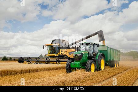 Une moissonneuse-batteuse et un tracteur modernes travaillent ensemble pour récolter une abondante récolte d'avoine sur des terres agricoles dans un ciel lumineux à Beverley, au Royaume-Uni. Banque D'Images