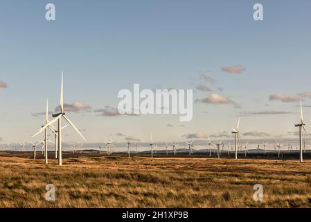 Certaines des 215 éoliennes de Whitelee Windfarm sur Eaglesham Moor près de Glasgow, en Écosse, au Royaume-Uni, le plus grand parc éolien côtier de Grande-Bretagne Banque D'Images