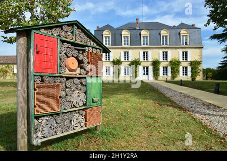 GIRONDE (33) SAUTERNES.LE CHÂTEAU GUIRAUD, LE PREMIER GRAND CRU CLASSE DE SAUTERNES DEPUIS 1855, APPARTENANT À LA FAMILLE PLANTY, EST 100% BIO. Banque D'Images