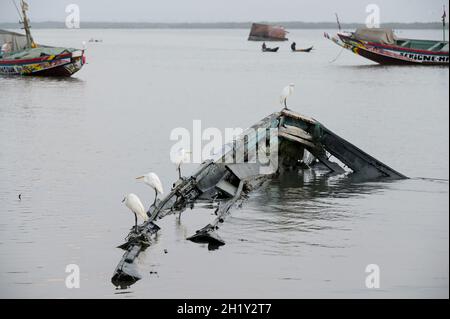 SÉNÉGAL, Casamance, Ziguinchor, port de pêche, héron sur épave de bateau en bois à pécher / Fischereihafen, Reiher auf Holzboot Banque D'Images