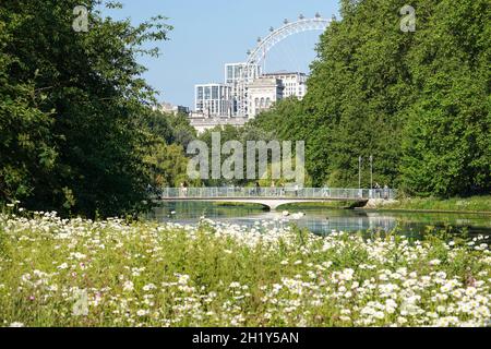 St. James's Park avec London Eye en arrière-plan à Londres, Angleterre Royaume-Uni Banque D'Images