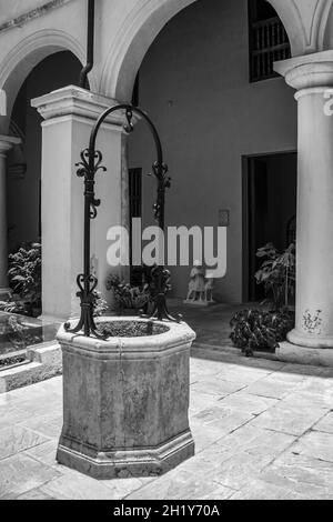 Photo en niveaux de gris d'un puits d'eau dans le jardin à Habana, Cuba Banque D'Images