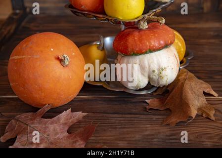 Citrouilles de différentes formes, couleurs et tailles sur un support argenté sur fond de bois.L'automne encore la vie. Banque D'Images