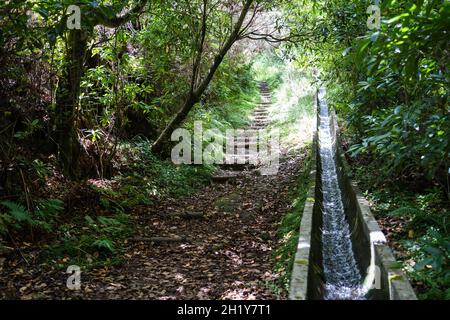 Vue sur le Levada da Serra do Faial de Ribeiro Frio à Portela. Banque D'Images