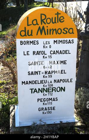 FRANCE VAR (83) RÉGION DE TANNERON, LA ROUTE MIMOSA Banque D'Images