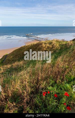 Les Verges verts de Saltburn, dans le North Yorkshire, en Angleterre Banque D'Images