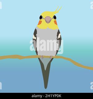 Une illustration d'un cocatier mâle très mignon assis sur une branche.L'oiseau vous regarde avec deux yeux, vous regardez son bec. Illustration de Vecteur