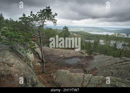 Vue sur la mer Baltique et le golfe de Bothnia depuis le sommet du rocher dans le parc national de Skuleskogen, Suède.Randonnée le long du sentier de la haute côte, Hoha Banque D'Images