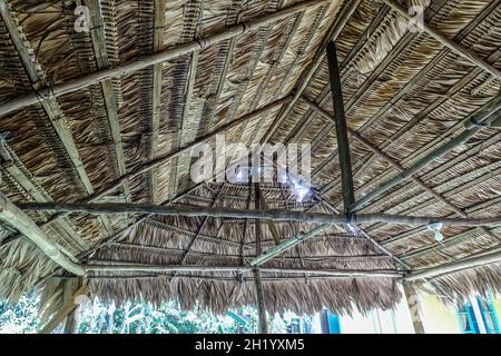 Toit de chaume à Suretka, Costa Rica. Banque D'Images