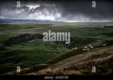 mouton sur le dessus de mam tor Banque D'Images