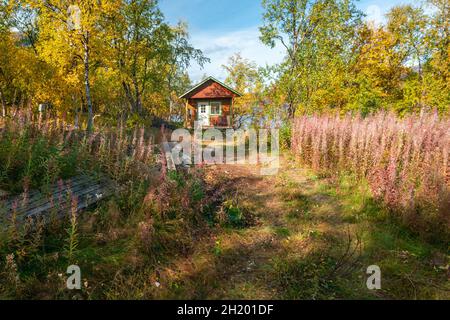 Petite cabine en bois rouge typique dans une forêt à Saltoluokta, en Suède.Beau jour ensoleillé d'automne dans l'Arctique suédois éloigné.Couleurs vives de l'automation. Banque D'Images