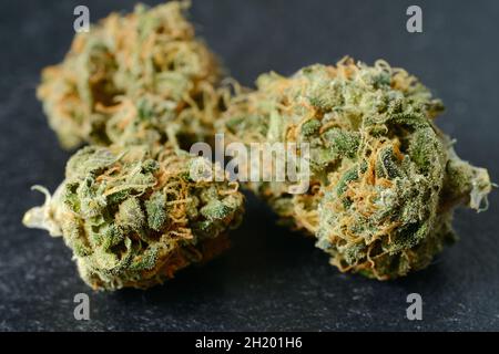 Fleurs de cannabis séché, vue macro, gros plan.La marijuana médicinale fleurit avec des trichomes sur fond noir.Souche GG4 (Gorilla Glue). Banque D'Images