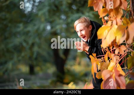 un garçon malicieux regarde derrière un arbre avec des feuilles jaunes d'automne, et il frotte ses paumes. Banque D'Images