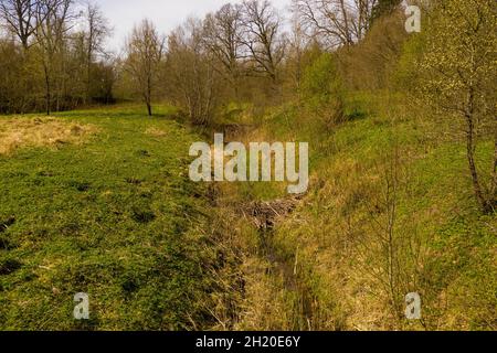 Vue de drone de petits barrages de castors sur une rivière pendant les jours d'été. Banque D'Images