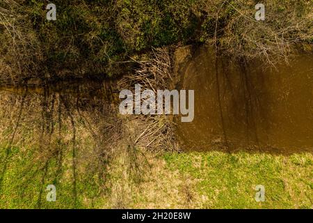 Vue de drone de petits barrages de castors sur une rivière pendant les jours d'été. Banque D'Images