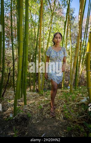 Jeune étudiant multiracial de l'université de la race marchant dans une forêt de bambou Banque D'Images