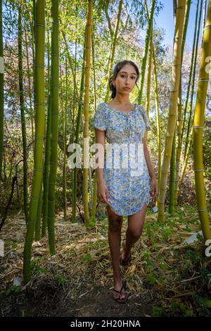 Jeune étudiant multiracial de l'université de la race marchant dans une forêt de bambou Banque D'Images