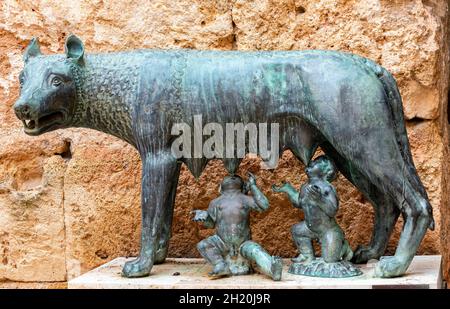 Luperca est le nom de l'elle-loup qui, selon la mythologie romaine, a supé Romulus et Remus, fondateurs de Rome, quand le roi Amulius leur a ordonné du faire Banque D'Images