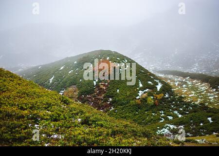 Montagne enneigée et brumeuse avec prairies alpines vertes. Banque D'Images