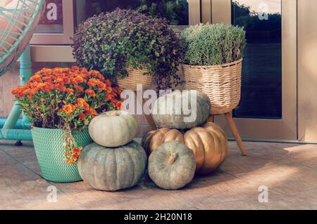 Citrouille au seuil d'une maison.Porte d'entrée décorée de citrouille et de plantes en pot.Saison d'automne Banque D'Images