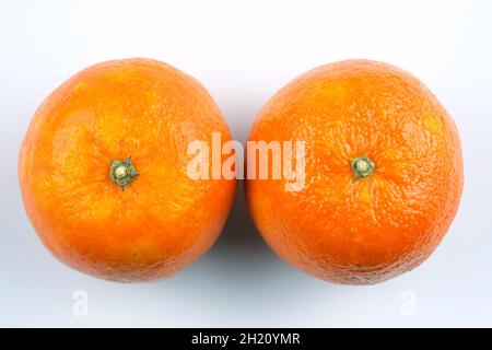 Vue de dessus de deux oranges sur fond blanc.Grandes oranges mûres avec zeste.Deux oranges sont consécutives. Banque D'Images