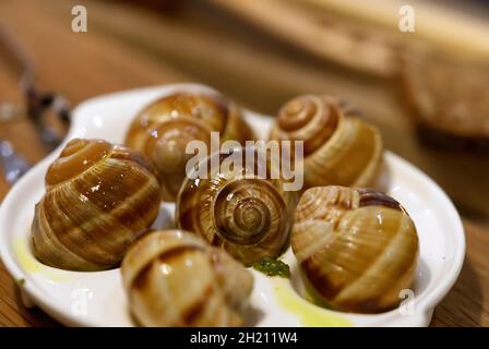 Helix aspersa Muller dans un restaurant.Escargots comestibles avec beurre et assaisonnements. Banque D'Images