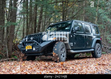 Un Jeep Wrangler Unlimited JL noir avec pare-chocs en acier, treuil et feux auxiliaires en stationnement dans la nature sauvage des montagnes Adirondack. Banque D'Images