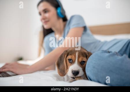 Une jeune femme aux cheveux sombres écoute de la musique et passe du temps en ligne Banque D'Images