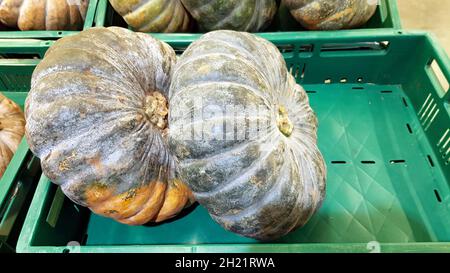 Deux citrouilles sont placées sur la tablette. Banque D'Images