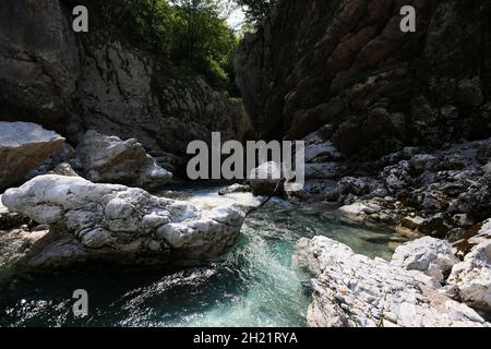 Rivière dans la forêt au printemps Banque D'Images