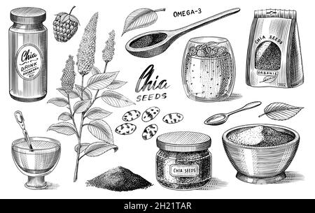 Chia plante et graines.Salvia hispanica.Emballage aux épices, cuillère en bois, dessert et pudding.Une poignée d'assaisonnement et une bouteille en verre.Gravé Illustration de Vecteur