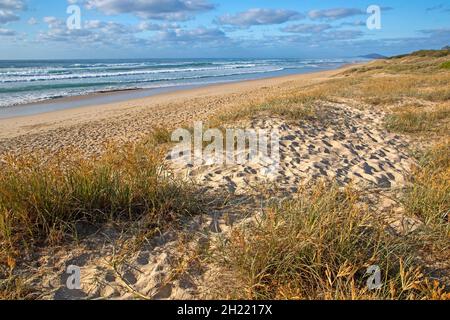Sunrise Beach sur la Sunshine Coast Banque D'Images