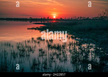 Belle vue sur un lac entouré de greens étincelant sous le coucher du soleil Banque D'Images