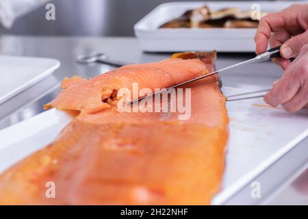 Préparation du poisson pour l'évaluation en laboratoire dans un laboratoire de contrôle alimentaire avec assistant de laboratoire, Freiburg, Bade-Wurtemberg, Allemagne Banque D'Images