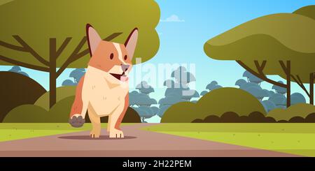 mignon chien shiba inu marchant dans le parc furry homme ami domestique concept d'animal domestique Illustration de Vecteur