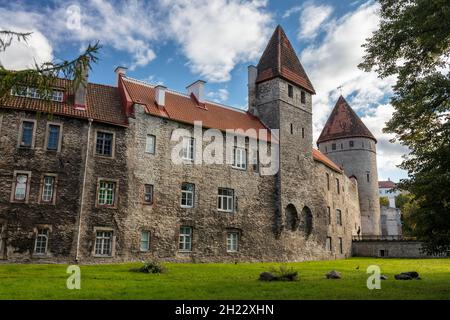 Mur de ville avec tours Kuldjala Ten (pied d'or) et Nunnadetagune, Chevaler Stadtbefestigung (Tallinna linnamueuer), Tallinn, Estonie Banque D'Images