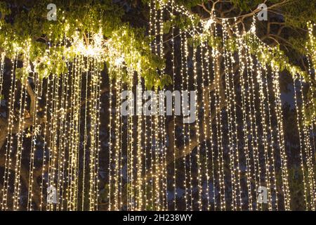 Chaîne de lumières décoratifs d'extérieur accroché sur arbre dans le jardin de nuit Banque D'Images