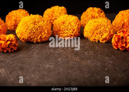 Fleurs d'orange Cempasuchil ou Marigold.(Tagetes erecta) utilisé traditionnellement dans les autels pour la célébration du jour des morts au Mexique Banque D'Images