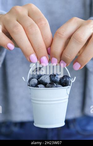 Femme tenant un seau en métal avec des bleuets congelés. Concept de récolte. Les mains des femmes collectent les baies. Concept de saine alimentation. Faire le plein de berr Banque D'Images