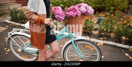 Vue courte de femme voyageant en vélo vintage dans la rue.Une femme portant un gilet marron est un vélo d'équitation avec un grand panier de chrysanthème rose.Concept de mode de vie sain. Banque D'Images