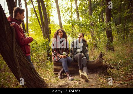 Groupe de trois amis qui passent du temps ensemble dans la forêt le chaud jour d'automne.Activités de randonnée Banque D'Images