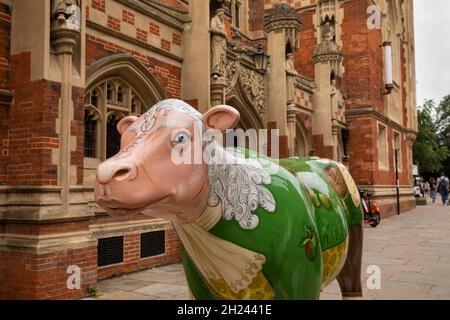 Royaume-Uni, Angleterre, Cambridgeshire, Cambridge, St John’s Street,Projet d'art Cows in Cambridge, vache décorée à l'extérieur du Old Divinity College Banque D'Images