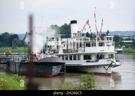 Dampfschiff 'Schönbrunn' Am Ufer der Donau à Linz, Oberösterreich, Österreich, Europa - navire à vapeur 'Schönbrunn' sur les rives du Danube à Linz, Up Banque D'Images