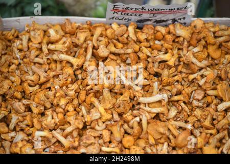 Eierschwammerl, Pfifferlinge auf einem Markt in Ried im Innkreis, Oberösterreich, Österreich, Europa - champignons Chanterelle, chanterelles sur un marché Banque D'Images