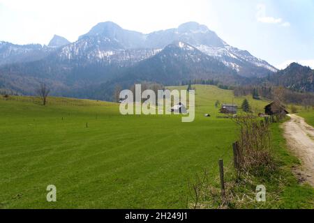 Eisenau-Alm Sankt Gilgen, Salzbourg, Österreich, Europa - Eisenau-Alm Sankt Gilgen, Salzbourg, Autriche, Europe Banque D'Images